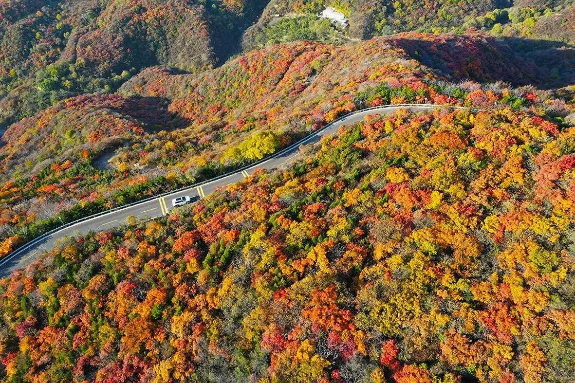 龍山太山紅葉文化節(jié)啟動(dòng) 看西山紅遍 品晉陽文化